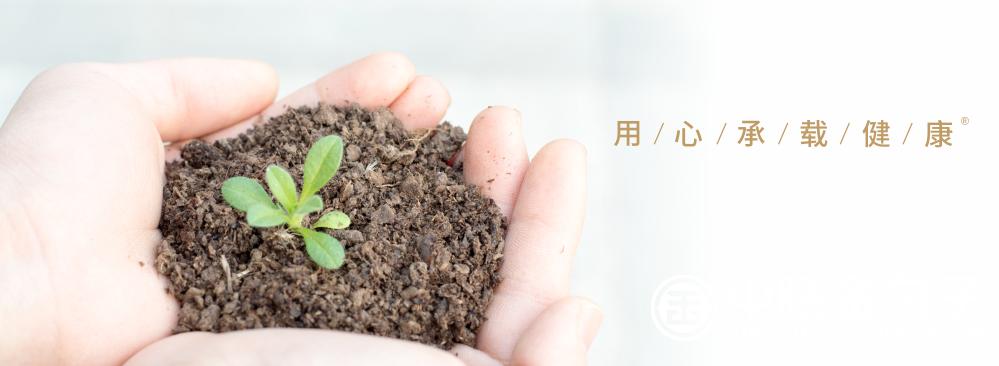 1653027679479835.png 顶关注.png